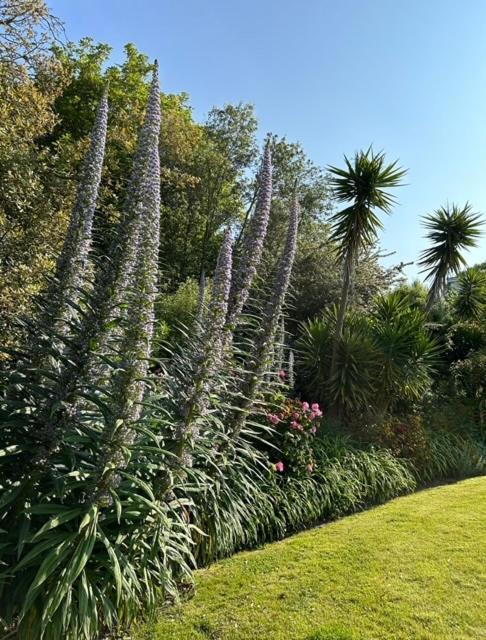 Westhill Country Hotel Saint Helier Jersey Εξωτερικό φωτογραφία